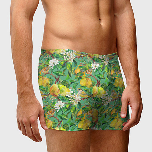 Мужские трусы Груши и птицы / 3D-принт – фото 3