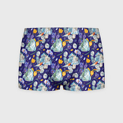 Мужские трусы Крокусы и зяблик во льдах