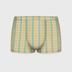 Мужские трусы Color beige cage light blue stripes