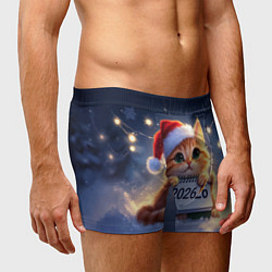 Трусы-боксеры мужские Кот который ждет новый год, цвет: 3D-принт — фото 2
