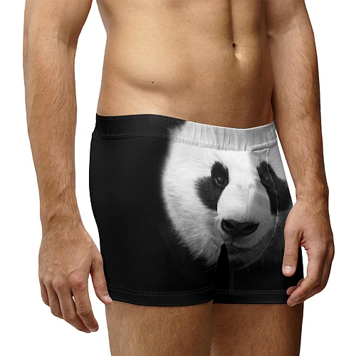 Мужские трусы Взгляд панды / 3D-принт – фото 3