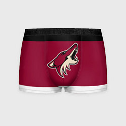 Мужские трусы Arizona Coyotes