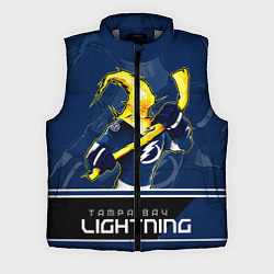 Мужской жилет Bay Lightning, цвет: 3D-светло-серый