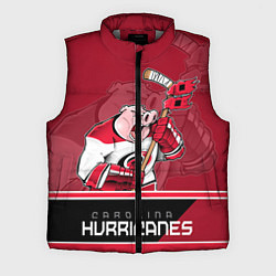 Мужской жилет Carolina Hurricanes, цвет: 3D-светло-серый