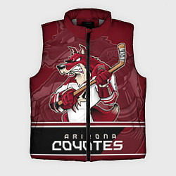 Мужской жилет Arizona Coyotes, цвет: 3D-светло-серый