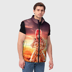 Мужской жилет Fairy Tail, цвет: 3D-черный — фото 2