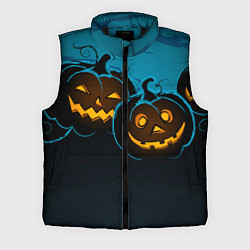 Мужской жилет Halloween3, цвет: 3D-черный