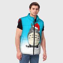 Мужской жилет Тоторо под снегом, цвет: 3D-красный — фото 2