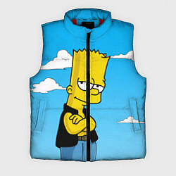 Мужской жилет Задумчивый Барт, цвет: 3D-красный
