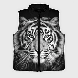 Мужской жилет Мордочка тигра, цвет: 3D-черный