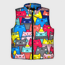 Мужской жилет Отряд котиков
