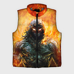 Мужской жилет Disturbed: Monster Flame