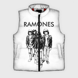 Мужской жилет Ramones Party, цвет: 3D-красный