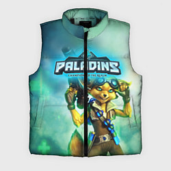 Мужской жилет Paladins, цвет: 3D-черный