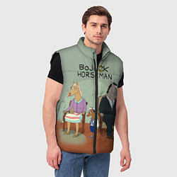 Мужской жилет BoJack Horseman, цвет: 3D-черный — фото 2