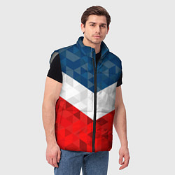 Мужской жилет Форма России, цвет: 3D-светло-серый — фото 2