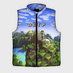 Мужской жилет Майнкрафт: Пётр, цвет: 3D-светло-серый