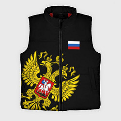 Мужской жилет Флаг и Герб России