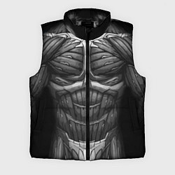 Мужской жилет Экзоскелет, цвет: 3D-черный