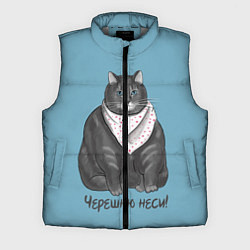 Мужской жилет Черешню неси!, цвет: 3D-светло-серый