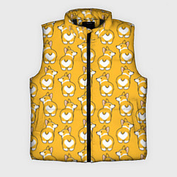 Мужской жилет Маленькие Корги, цвет: 3D-черный