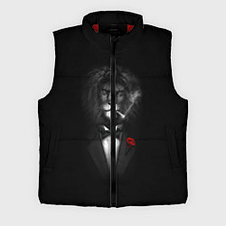 Мужской жилет Мистер Лев, цвет: 3D-красный