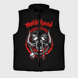 Мужской жилет Motorhead Demons, цвет: 3D-черный