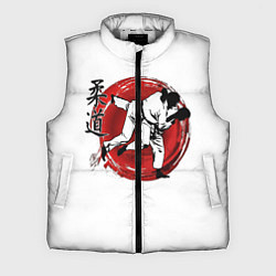 Мужской жилет Judo: Japan, цвет: 3D-светло-серый