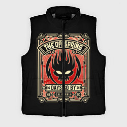 Мужской жилет The Offspring: Days Go By