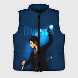 Мужской жилет The Cranberries, цвет: 3D-черный