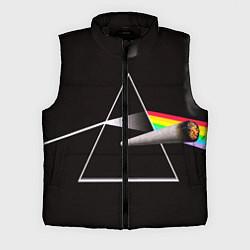 Мужской жилет PINK FLOYD, цвет: 3D-черный