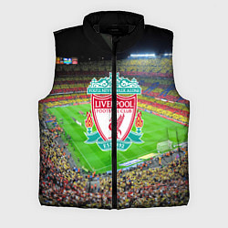 Мужской жилет FC Liverpool