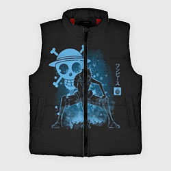 Мужской жилет One Piece