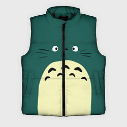 Мужской жилет Totoro