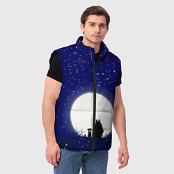 Мужской жилет Мой сосед Тоторо, цвет: 3D-черный — фото 2