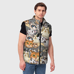 Мужской жилет ALL CATS MEMES, цвет: 3D-черный — фото 2