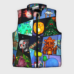 Мужской жилет Terraria allpic