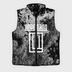 Мужской жилет LINDEMANN