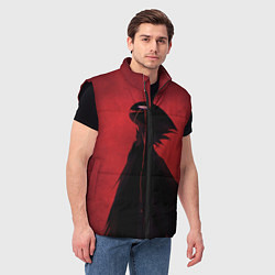 Мужской жилет Hollow Knight, цвет: 3D-черный — фото 2