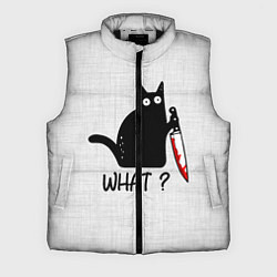 Мужской жилет What cat, цвет: 3D-черный