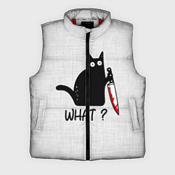 Мужской жилет What cat