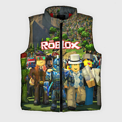 Мужской жилет ROBLOX, цвет: 3D-красный