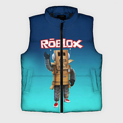 Мужской жилет ROBLOX, цвет: 3D-черный