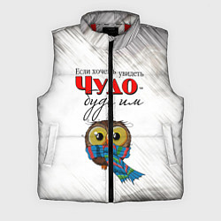 Мужской жилет Чудо, цвет: 3D-красный