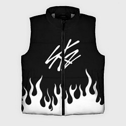 Мужской жилет Stray Kids, цвет: 3D-светло-серый