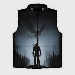 Мужской жилет ВЕДЬМАК, цвет: 3D-светло-серый