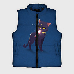 Мужской жилет КИСА С ТЕЛЕФОНОМ