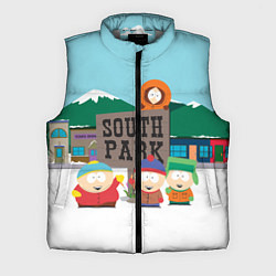 Мужской жилет ЮЖНЫЙ ПАРК, цвет: 3D-светло-серый