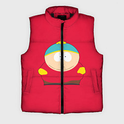 Мужской жилет ЮЖНЫЙ ПАРК, цвет: 3D-черный