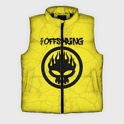 Мужской жилет The Offspring, цвет: 3D-черный